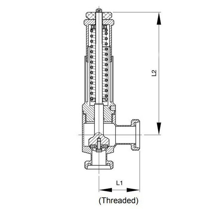 Предохранительный клапан нержавеющий резьбовой, DN40, TLSV40TH-S TITAN LOCK