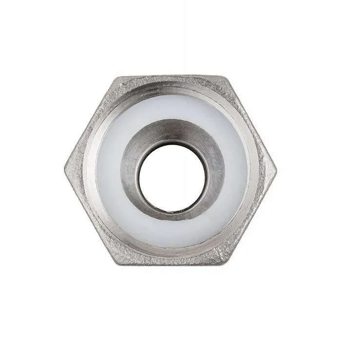 Штуцер для пара  DIN 2826, с концом под рукав, нерж.сталь 316, вн.резьба, 2" TLSTDIN-F2S TITAN LOCK