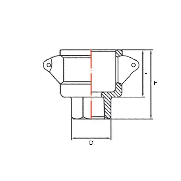 Камлок нержавеющий тип D серия "EcoLine" розетка, внутр. резьба BSP 1", AISI304, TL100DSS-EL TITAN LOCK