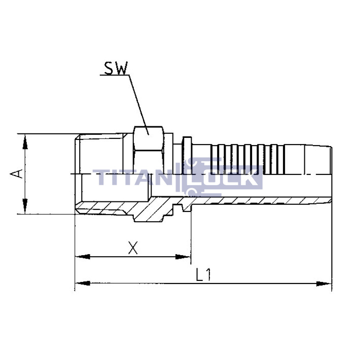 Фитинг DN 06 NPTF (Ш) 1/8", TL-NPTF06M1/8 TITAN LOCK